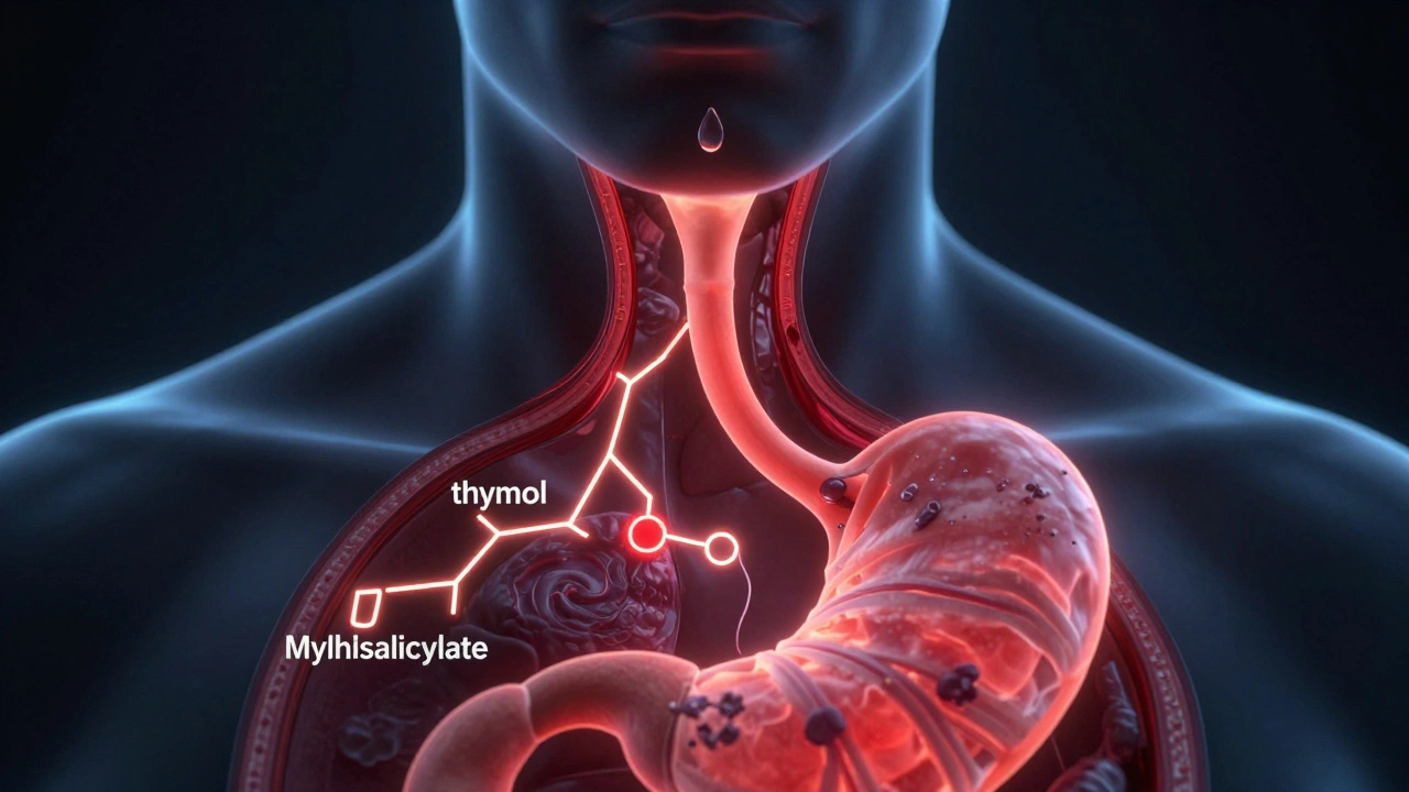 Vnitřní řez hrdla a žaludku s toxickými látkami z Listerine poškozujícími tkáně.