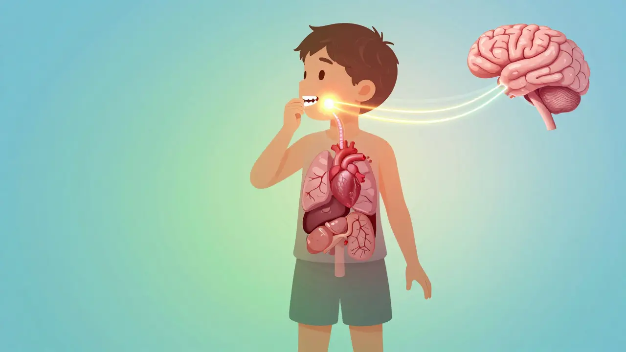 Ilustrace propojení zdraví ústní dutiny s celkovým zdravím těla